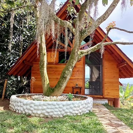 Cabanas La Miranda 필란디아 외부 사진