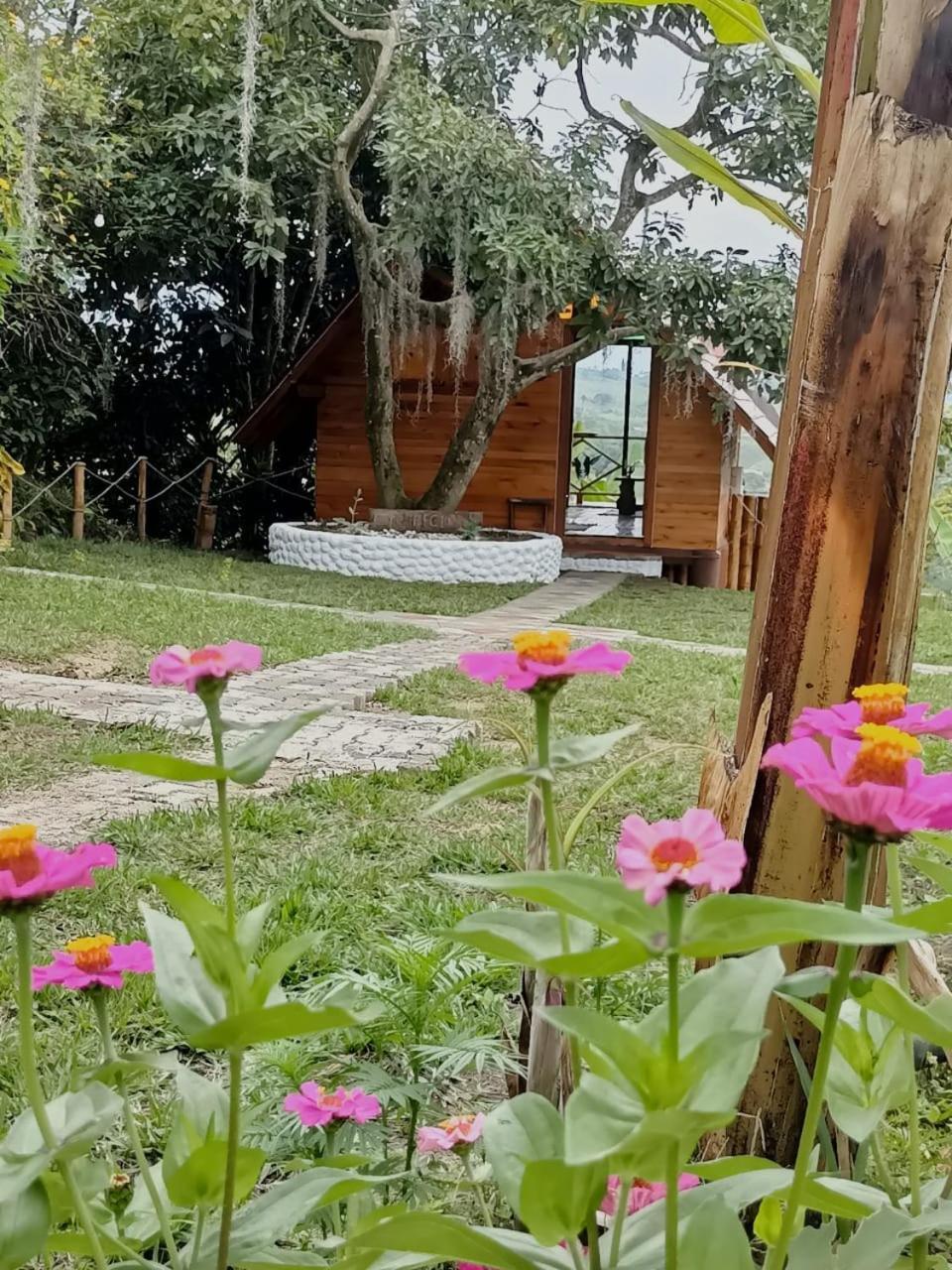 Cabanas La Miranda 필란디아 외부 사진