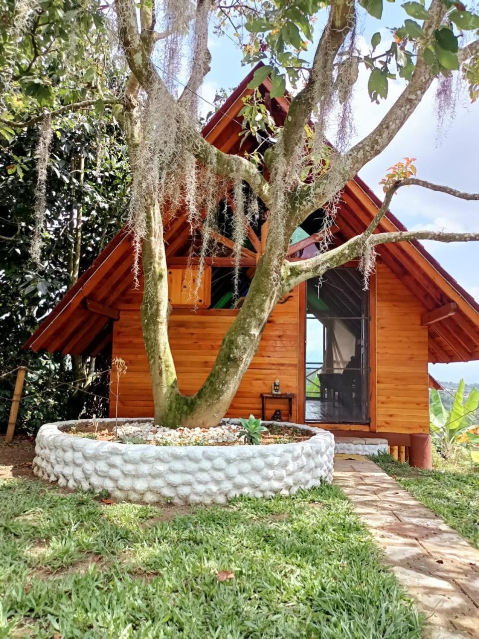 Cabanas La Miranda 필란디아 외부 사진